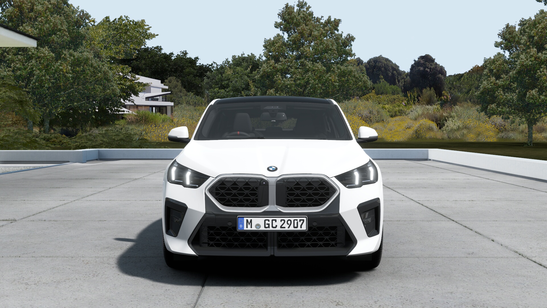 BMW X2 xDrive20iの画像1