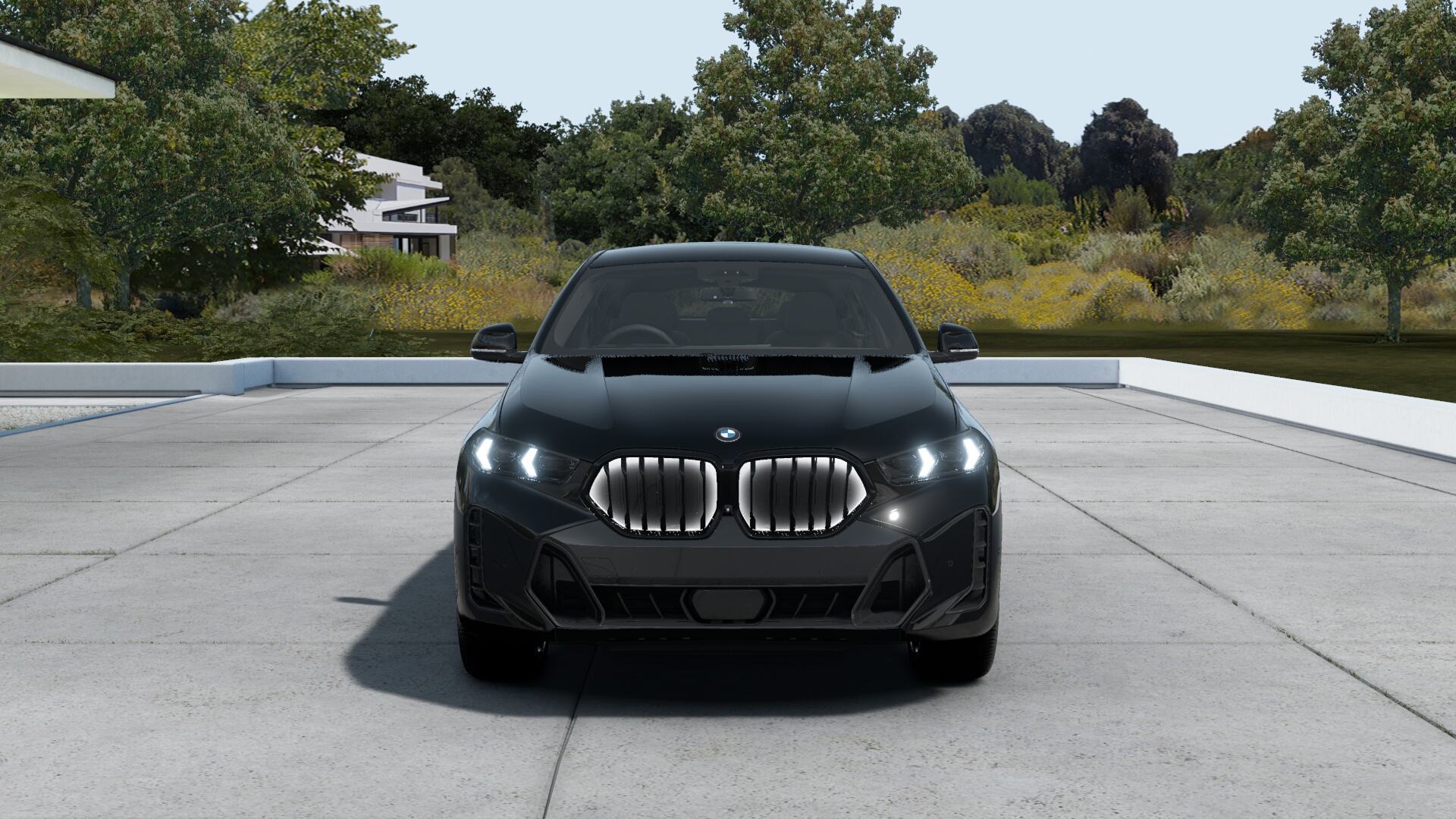BMW X6 xDrive35dの画像2