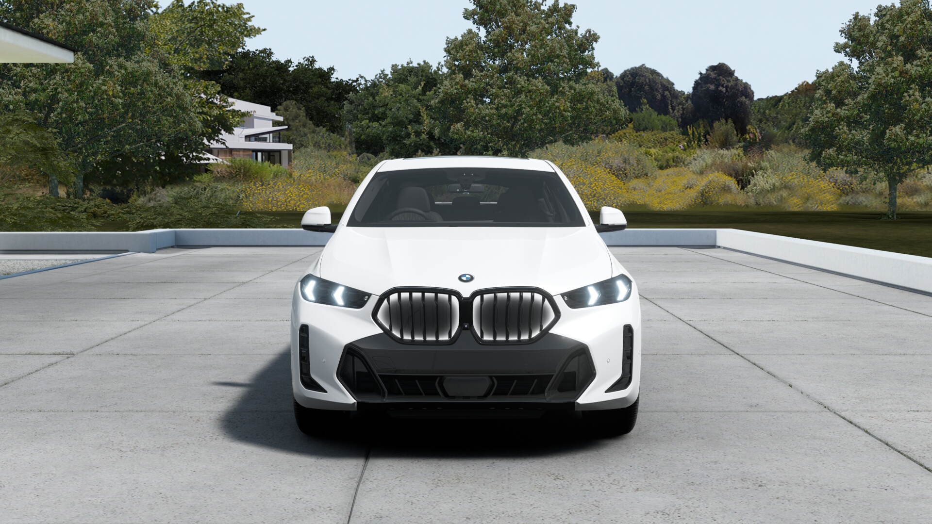 BMW X6 xDrive35d M Sportの画像1