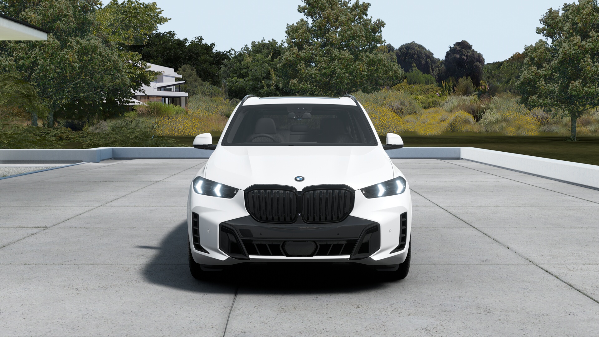BMW X5 xDrive40d M Sportの画像2
