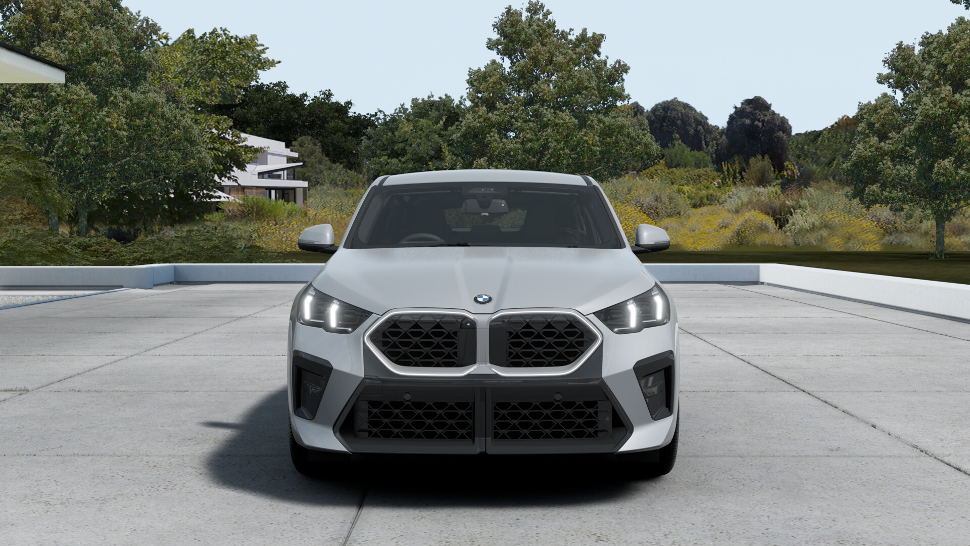 BMW X2 sDrive20i M Sportの画像2